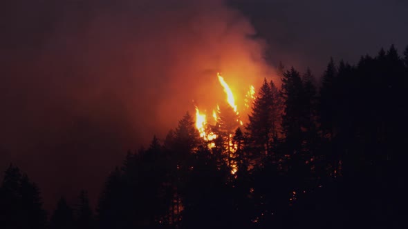 Forest Fire Near Portland Oregon