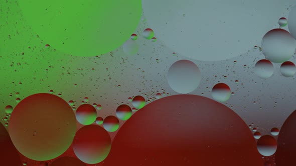 Macro Structure of Colorful Oil Bubbles. Chaotic Motion. Abstract Multicolored Background. Pattern