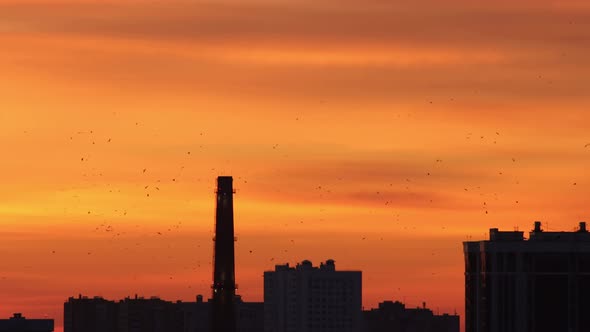 Morning Sky of Red Orange and Yellow Shades - Silhouettes of Buildings