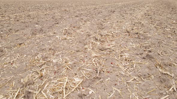 Empty Plowed Field in Autumn Aerial View