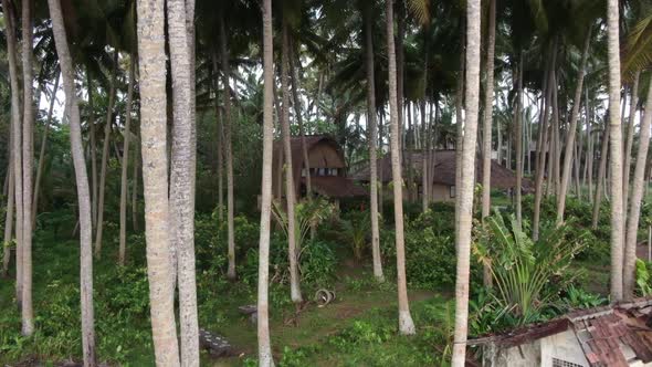 Bungalow in a Palm Grove By the Sea in Bali