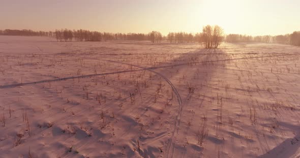 Aerial Drone View of Cold Winter Landscape with Arctic Field Trees Covered with Frost Snow and