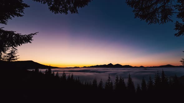 Evening after Sunset in Mountains Forest Alps Nature