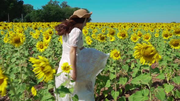 slow-motion of cheerful woman walking and enjoying with sunflower field