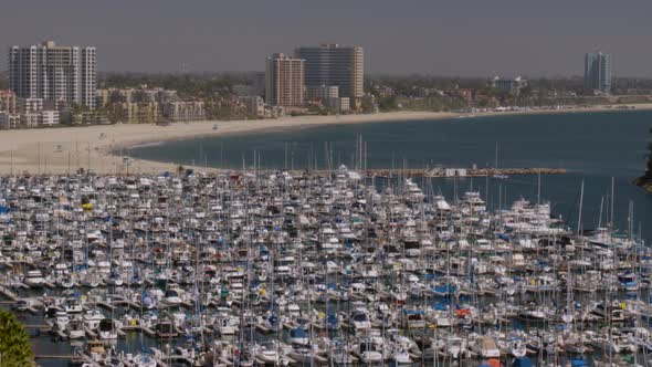 Many boats moored at harbor and skyscrapers at a distance