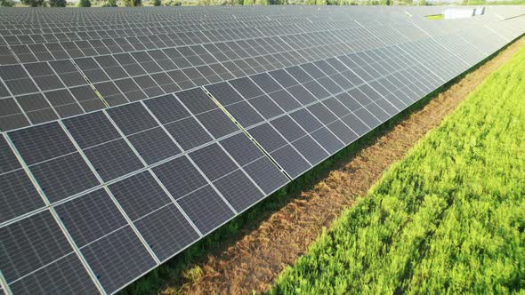 Aerial View Solar Power Station on Green Field at Sunset Solar Panels in Row