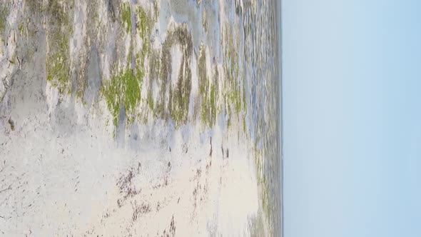 Vertical Video of Low Tide in the Ocean Near the Coast of Zanzibar Tanzania Aerial View