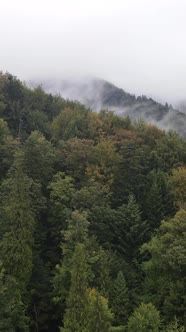 Vertical Video of Fog in the Mountains