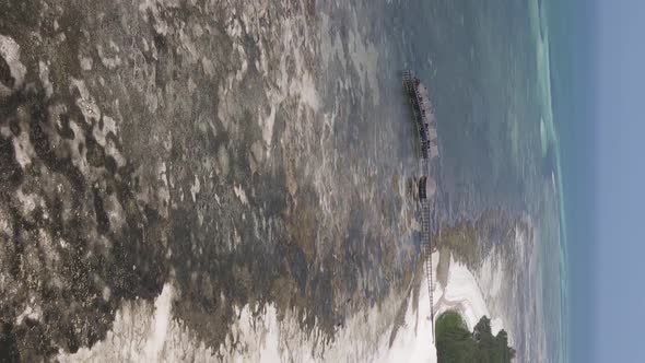 Zanzibar Tanzania  Vertical Video of Low Tide in the Ocean Near the Coast Slow Motion