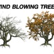 Wind blowing Maple Tree - VideoHive Item for Sale
