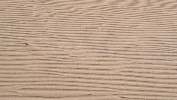 Parallel Sand Pattern Lines on Dune Surface in Desert