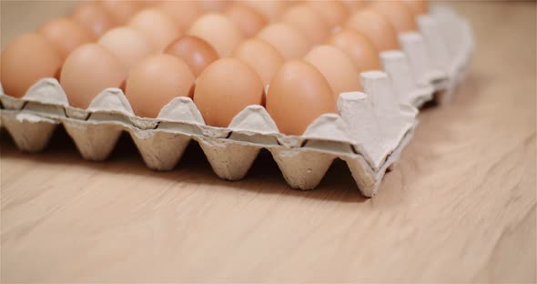 Eggs Extruder Full of Fresh Eggs on Black Background