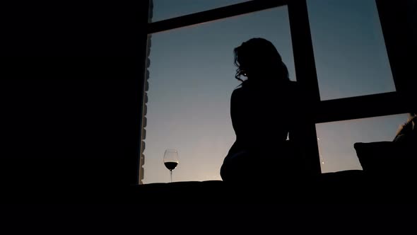 Silhouette of Girl Looking at Wine in Dark Room After Sunset
