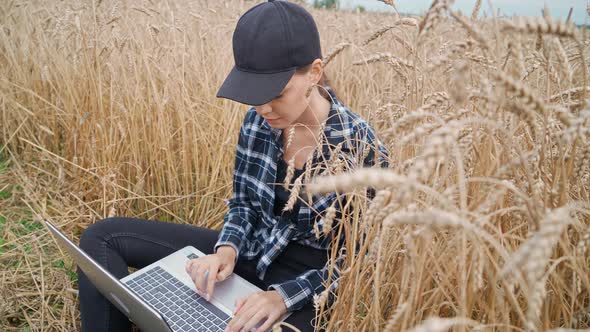 Young Female Ecologist Sits in a Field and Works at a Laptop Remote Work and Selfisolation in Nature