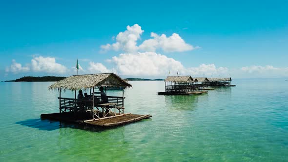 A Lagoon with Floating Crotches Top View