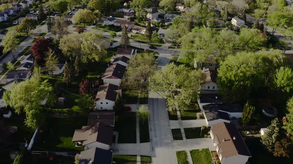 Aerial Drone View of Real Estate in Suburb at Summer Time