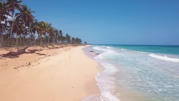 4k 24fps Dron Shoot In The Caribbean Beach With Pamlstree With Waves In The Sea 4