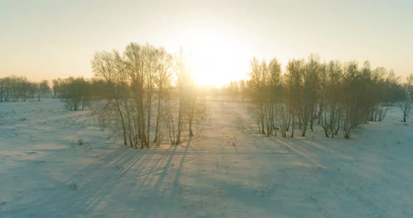 Aerial Drone View of Cold Winter Landscape with Arctic Field, Trees Covered with Frost Snow