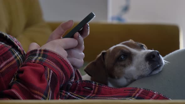 woman lying on the sofa using her phone, surfing the internet