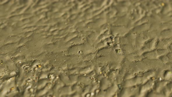 Lines in the Sand of a Beach