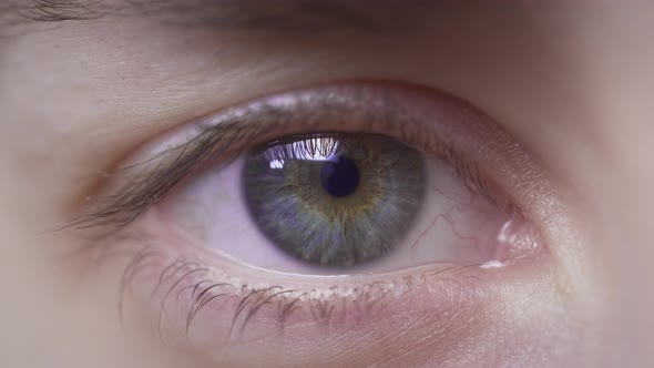 Extreme Closeup of a Beautiful Girl's Blue Eye