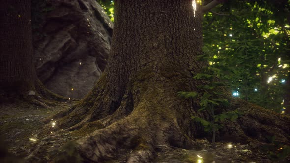 Fantasy Firefly Lights in the Magical Forest