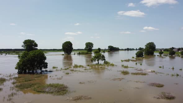 Floodplains and drowned trees at river Maas in the Netherlands, Aerial