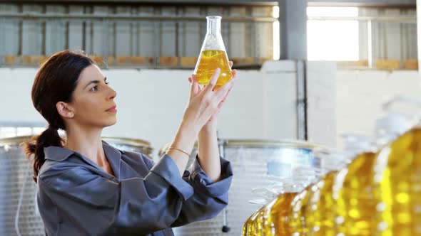 Worker examining olive oil