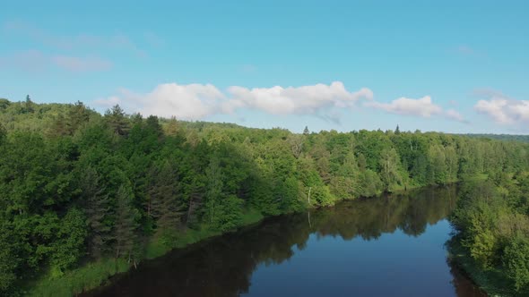 Landscape of Nature - the River Extends Between the Forest