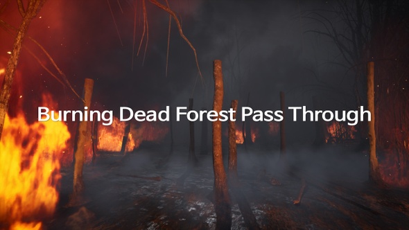 Burning Dead Forest Pass Through