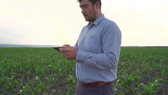 Farmer with Digital Tablet Inspecting Corn Field