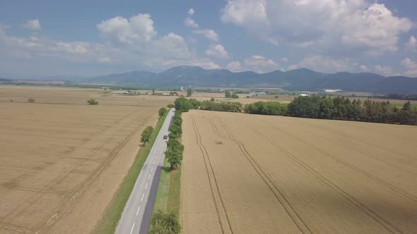 Aerial View of Road with Red Car in Corn Fields in Sunny Summer