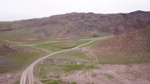 The Minibus Goes on the Green Steppe