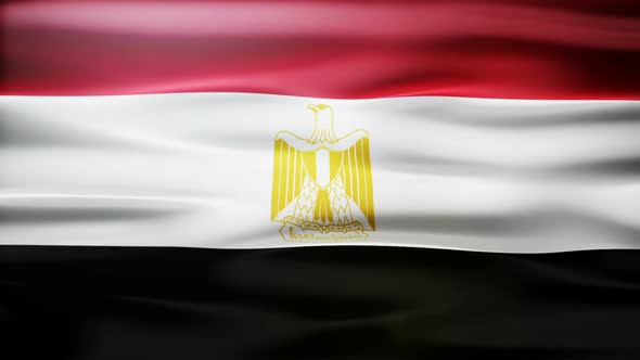 Egypt Flag Waving