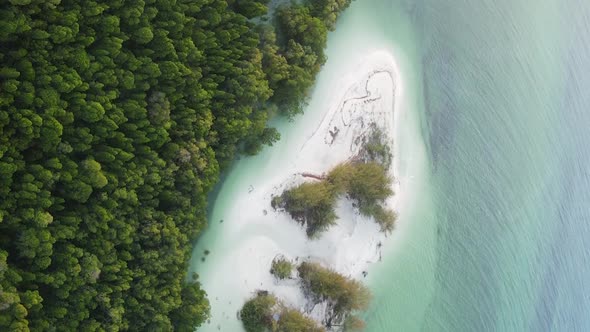 Zanzibar Tanzania  Coast of Island Covered with Thickets Slow Motion