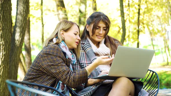 Business Women Having Video Call on Laptop in Park
