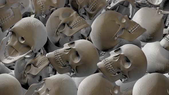 Skull Transition 02 4k  alt