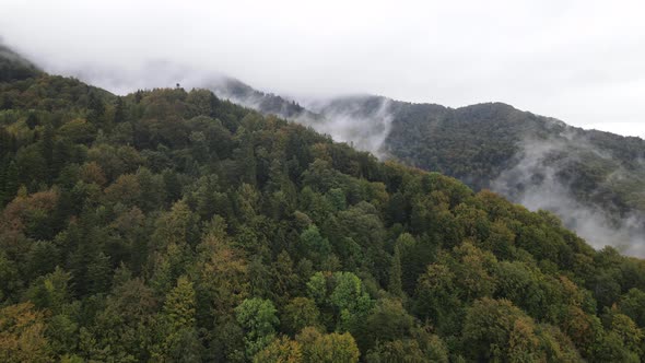 Nature of Ukraine: Carpathian Mountains Slow Motion. Aerial View