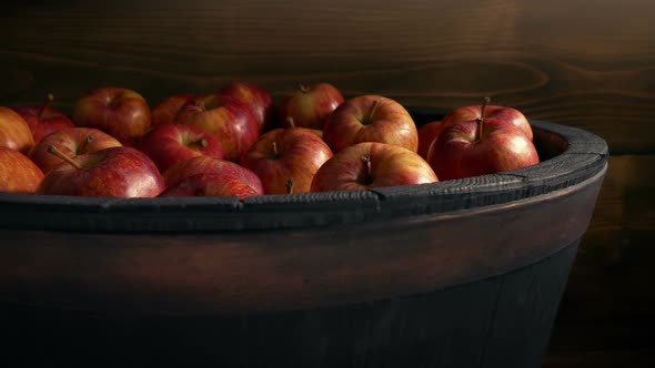 Red Apples In Wooden Tub, Pickers, Agriculture