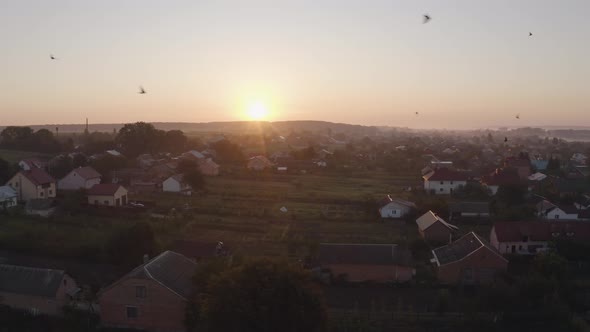 Aerial Drone View Over Old Village at Sunrise. Swallows Birds Fly in Large Swarms