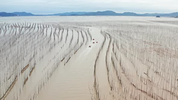 Aerial shot of fishermen heading out to sea on the coast of China