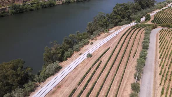 Wine Vineyard and river of Douro, Portugal