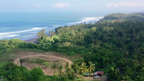aerial of jungle island coastline with coconut trees and black sand beach in Bali on sunny day