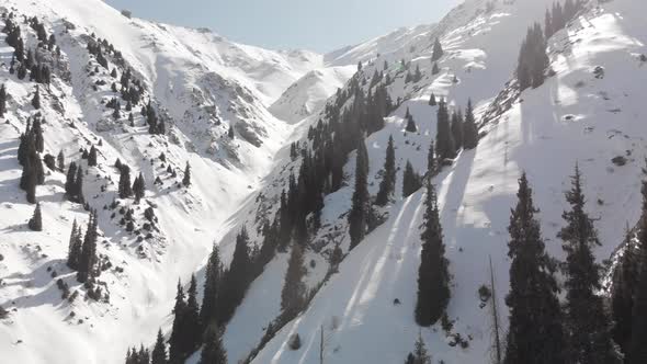 Aerial Landscape of Beautiful Winter Mountains