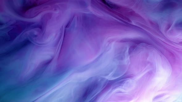 Vivid Colorful Purple Blue Pink of Acrylic Paint Drop Motion Texture Background for Abstract Concept