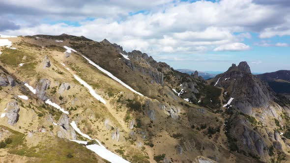 Wildlife Carpathia Mountains