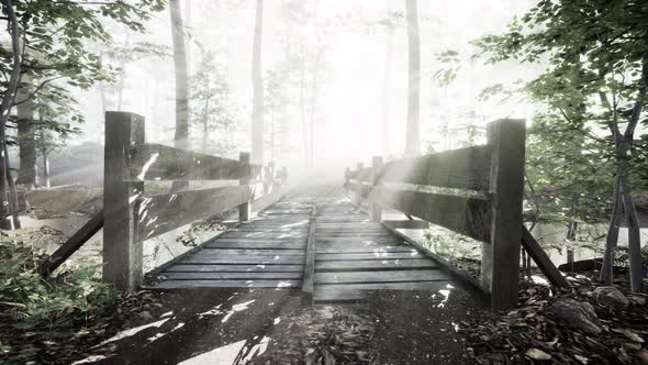 Mystical Old Wooden Bridge in the Fog