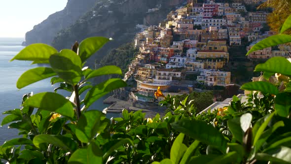 Colorful Houses on a Tyrrhenian Sea Coast Seen Through Green Juicy Flora in Positano, Italy