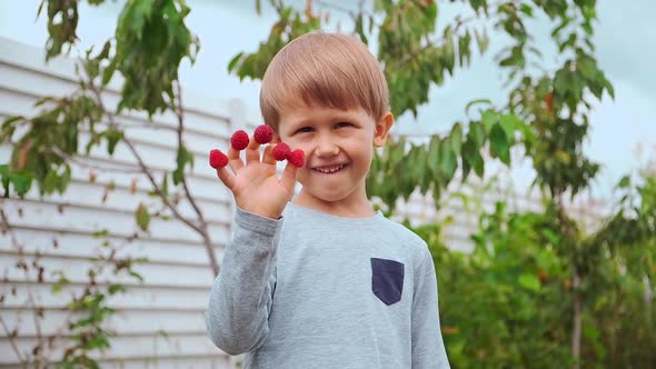 Happy Child 4 Years Old Holding Hands on Fingers and Eating Raspberries in Backyard