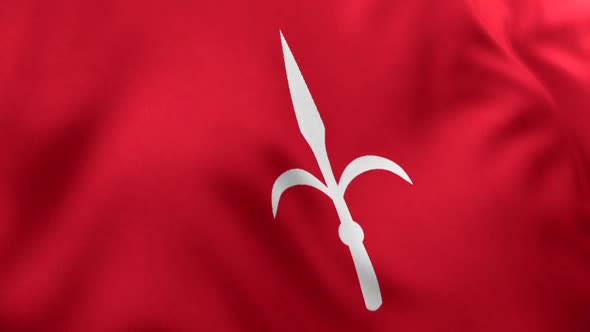Trieste City Flag